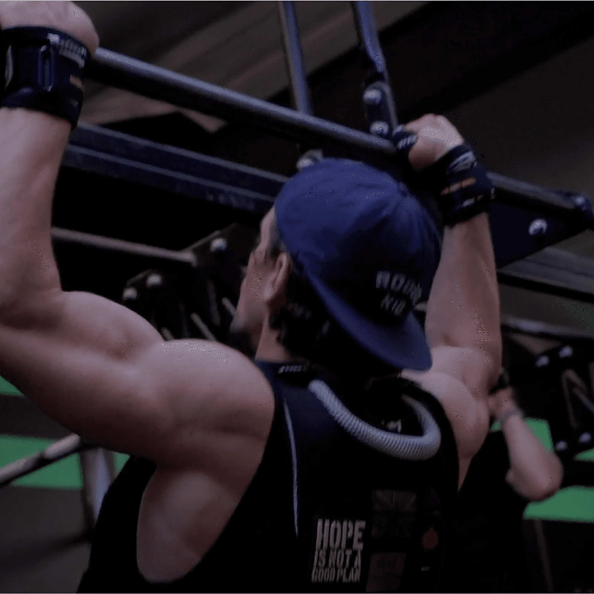 The Workout