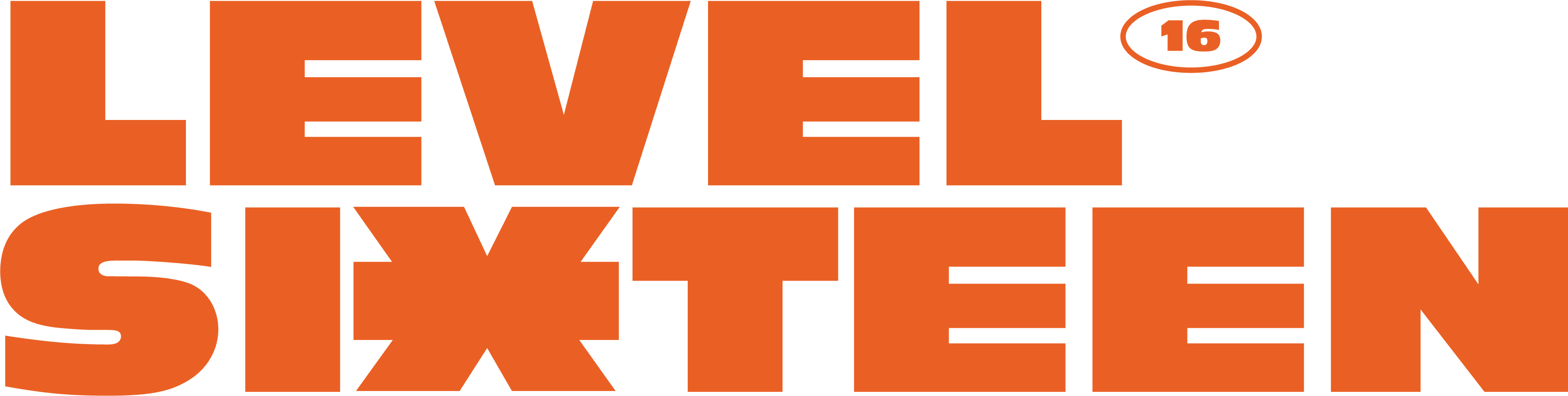Level 16
